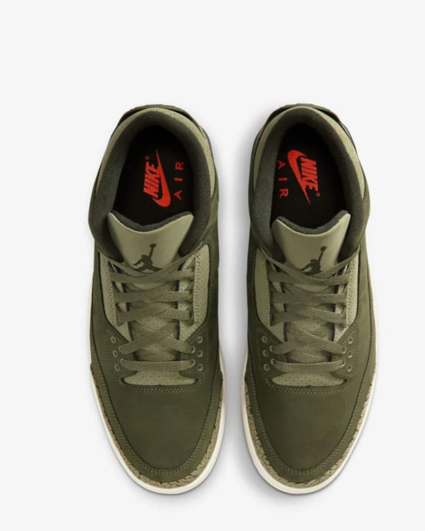 Air Jordan 3 Retro Family Affair