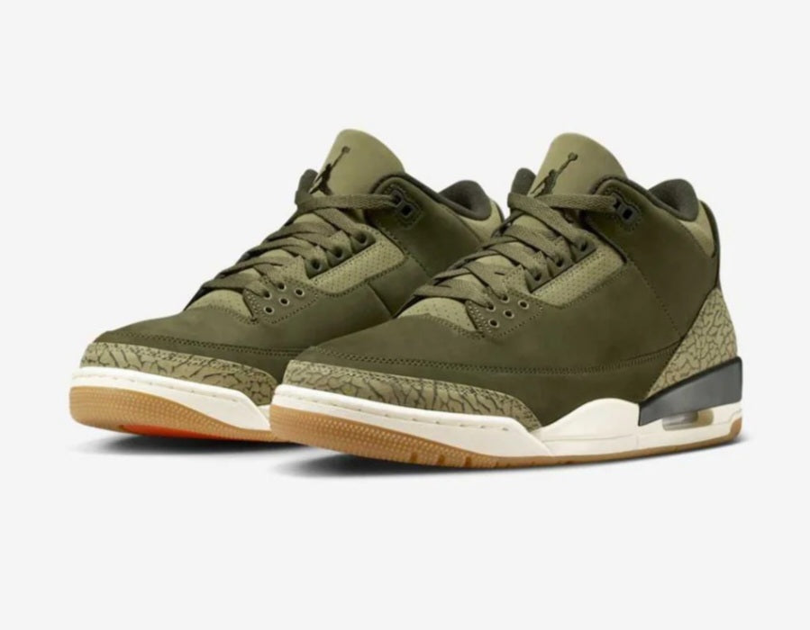 Air Jordan 3 Retro Family Affair